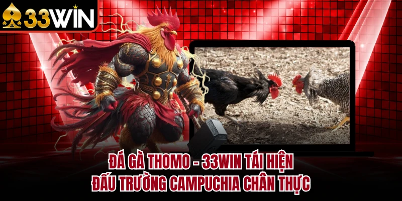 Đá Gà Thomo - 33WIN Tái Hiện Đấu Trường Campuchia Chân Thực